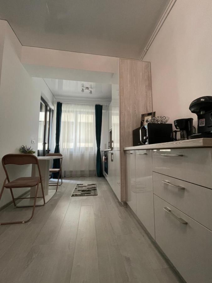 Pic Si Poc Studio Leilighet Năvodari Eksteriør bilde